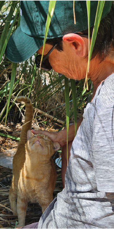 KCC Kim Happy Cat_-01