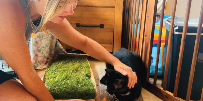 KCC Volunteer Blu-01